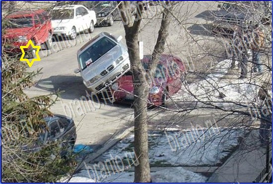 ответы на игру Найди кота Уровень 2550