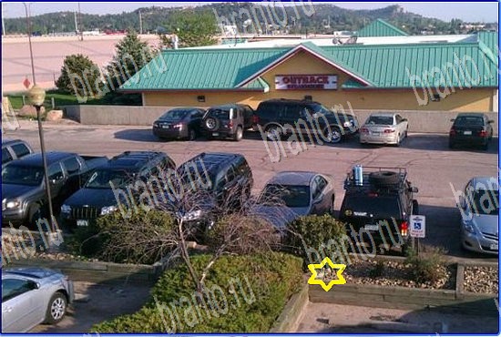 Игра Найди кота в Одноклассниках решения Уровень 2553