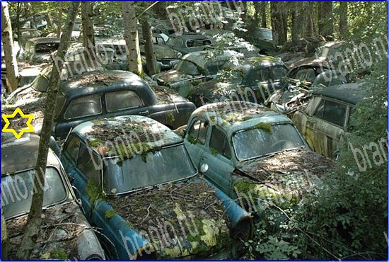 ответы на игру Найди кота Уровень 2555