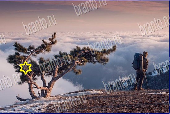 Игра Найди кота в Одноклассниках подсказки Уровень 2556