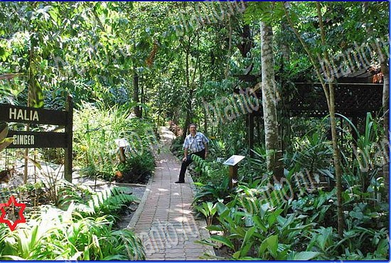 Найди кота игра ответы Уровень 2560