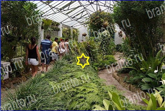 ответы на игру Найди кота Уровень 2561