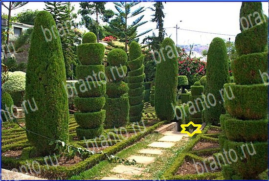 подсказки Найди кота Уровень 2562