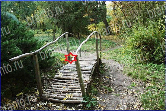 решения на игру Найди кота Уровень 2563