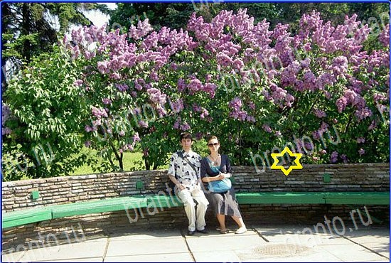 помощь на игру Найди кота Уровень 2564