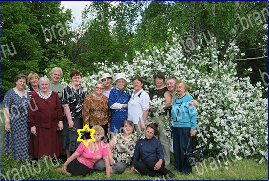 прохождение игры Найди кота Уровень 2565