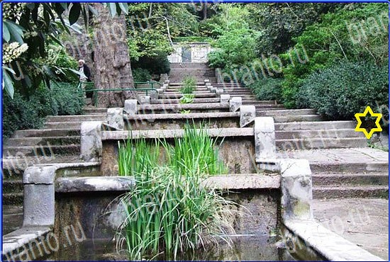 відповіді до гри Найди кота Уровень 2566