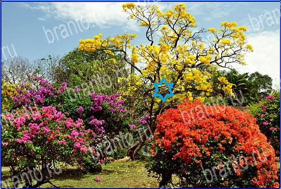 ключи на игру Найди кота Уровень 2567