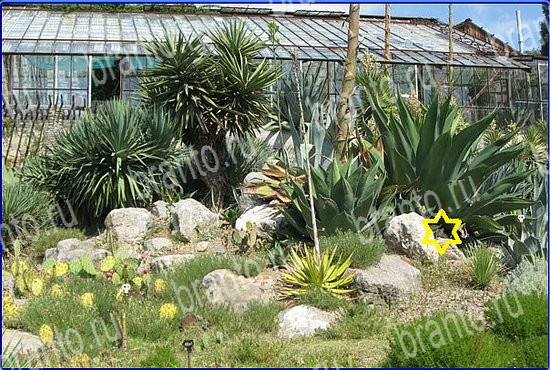 решебник на игру Найди кота Уровень 2569