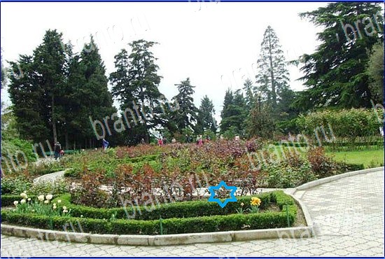 Найди кота игра ответы Уровень 2570