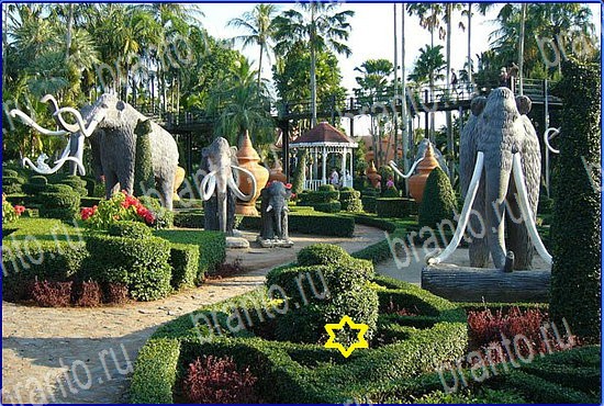 Найди кота игра в Одноклассниках ответы Уровень 2571