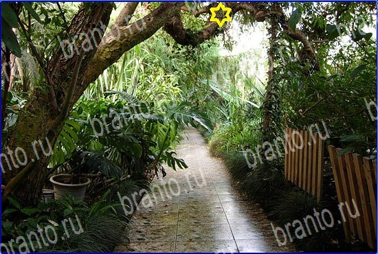 ответы на игру Найди кота Уровень 2572