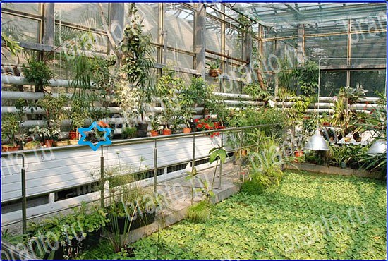 ответы на игру Найди кота Уровень 2573