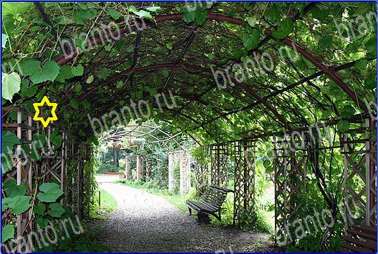 ответы на игру Найди кота Уровень 2575