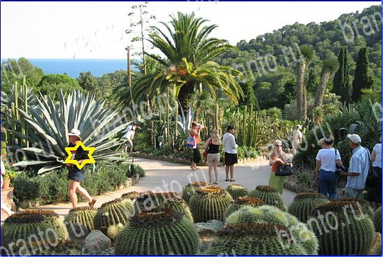 ответы на игру Найди кота Уровень 2576