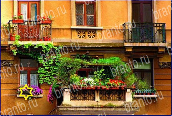 игра Найди кота ответы на все уровни