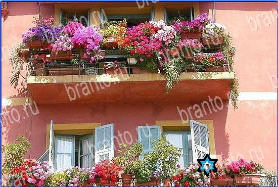 ответы на игру Найди кота Уровень 2582