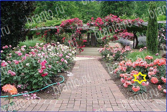 ответы на игру Найди кота Уровень 2584