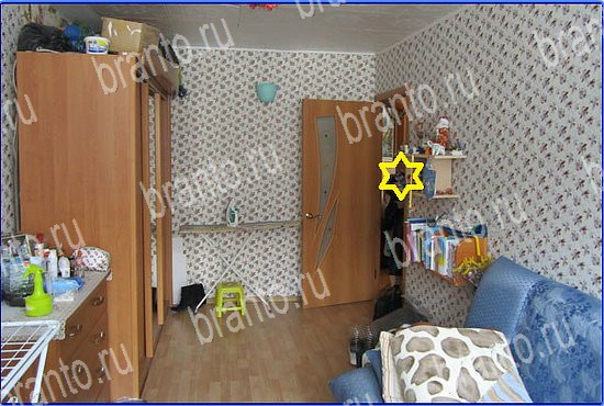 ключи на игру Найди кота Уровень 2588