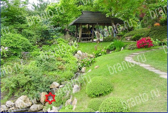 фото-ответы на игру Найди кота Уровень 2589