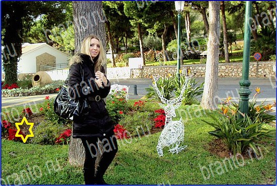 Игра Найди кота в Одноклассниках ключи Уровень 2591