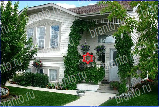 Игра Найди кота в Одноклассниках решения Уровень 2593