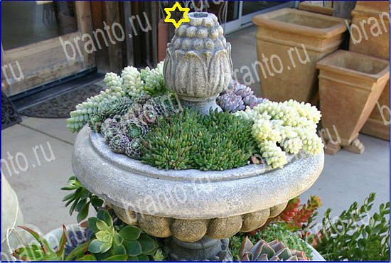 ответы на игру Найди кота Уровень 2595