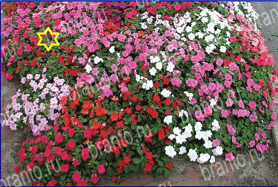 Игра Найди кота в Одноклассниках ответы Уровень 2597