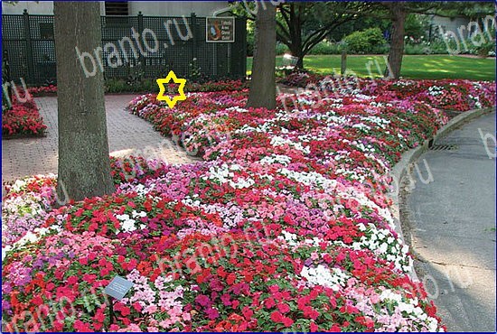 Найди кота игра в Одноклассниках помощь Уровень 2598