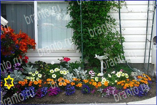 Найди кота игра ответы Уровень 2600