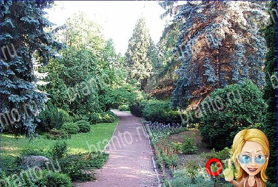 подсказки Найди кота Уровень 2602