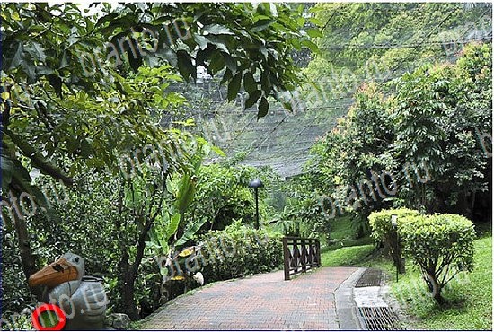 помощь на игру Найди кота Уровень 2604