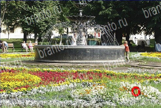 сборник ответов на игру Найди кота Уровень 2608