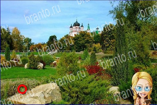 Найди кота игра в Одноклассниках ответы Уровень 2611