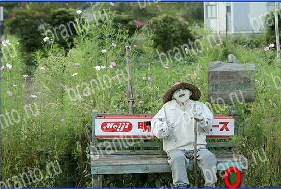 ответы на игру Найди кота Уровень 2613