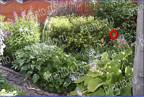 ответы на игру Найди кота Уровень 2614