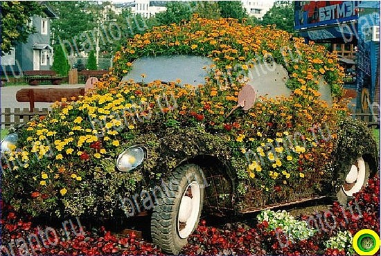 ответы на игру Найди кота Уровень 2615