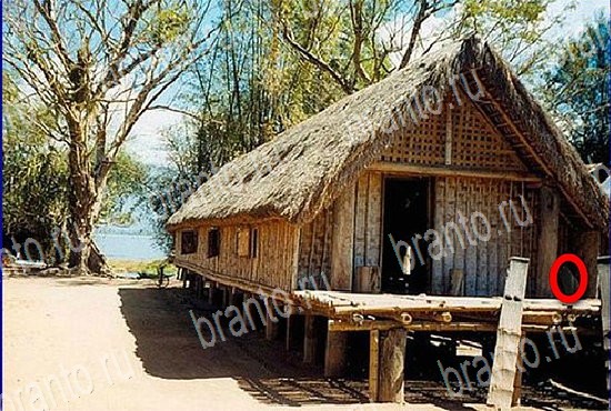 ответы на игру Найди кота Уровень 2617