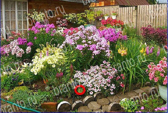 ответы на игру Найди кота Уровень 2625