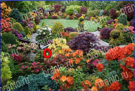 фотоответы на игру Найди кота Уровень 2626