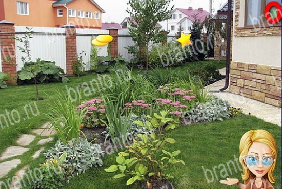 ответы на игру Найди кота Уровень 2627