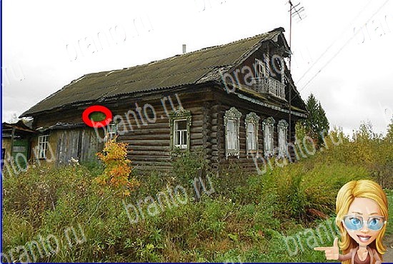 фото-ответы на игру Найди кота Уровень 2629