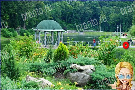 ответы на игру Найди кота Уровень 2630