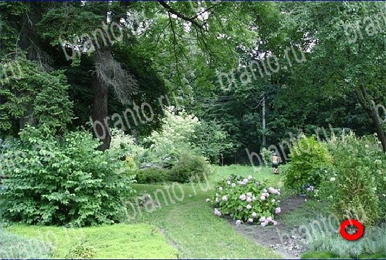 Игра Найди кота в Одноклассниках прохождение Уровень 2632