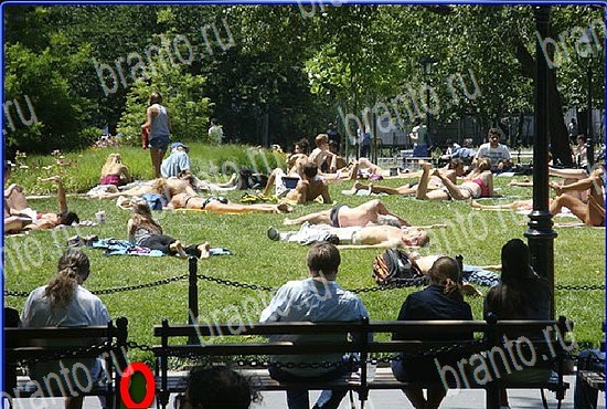 Игра Найди кота в Одноклассниках решения Уровень 2633