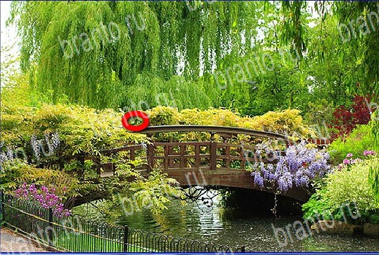 Игра Найди кота в Одноклассниках помощь Уровень 2634