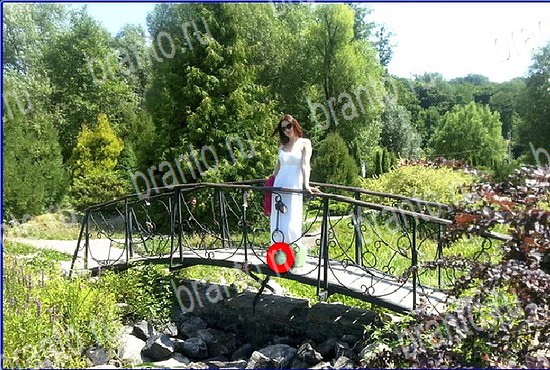 ответы на игру Найди кота Уровень 2635