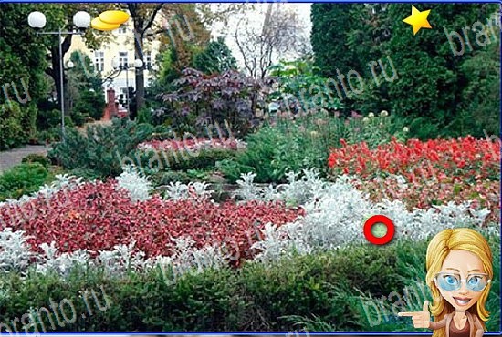 Найди кота игра в Одноклассниках подсказки Уровень 2639