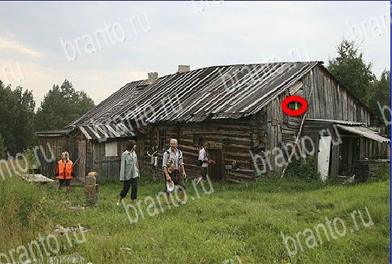 подсказки Найди кота Уровень 2642
