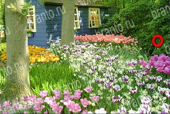 решения на игру Найди кота Уровень 2643